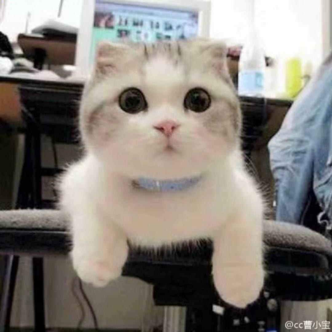 光臨