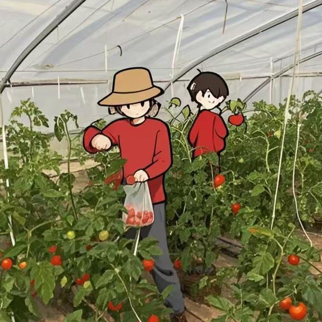 阿初的农耕日记