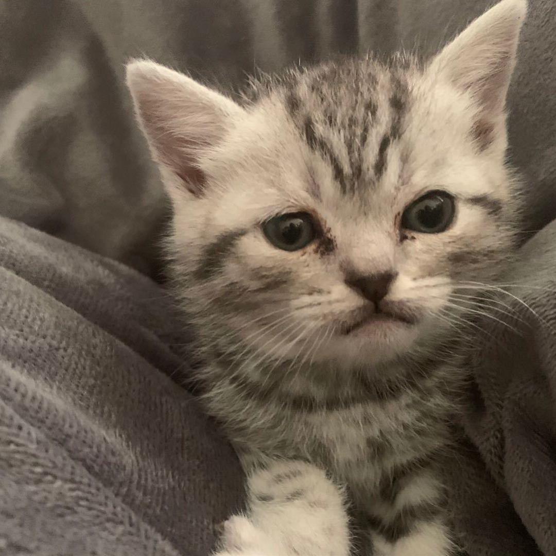 原来真的可以取这么长的名字呀，还能再长点