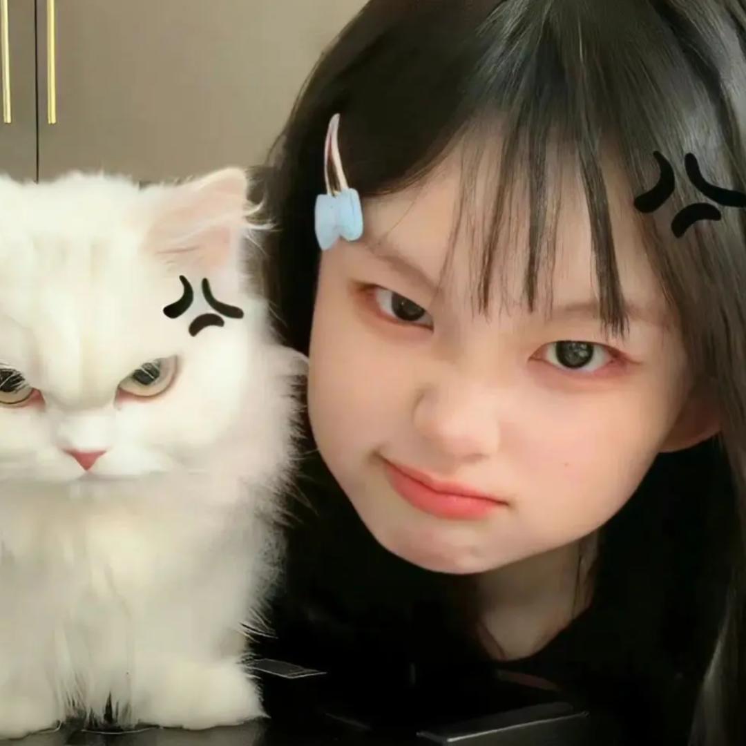 爆单网络+徐顺宏