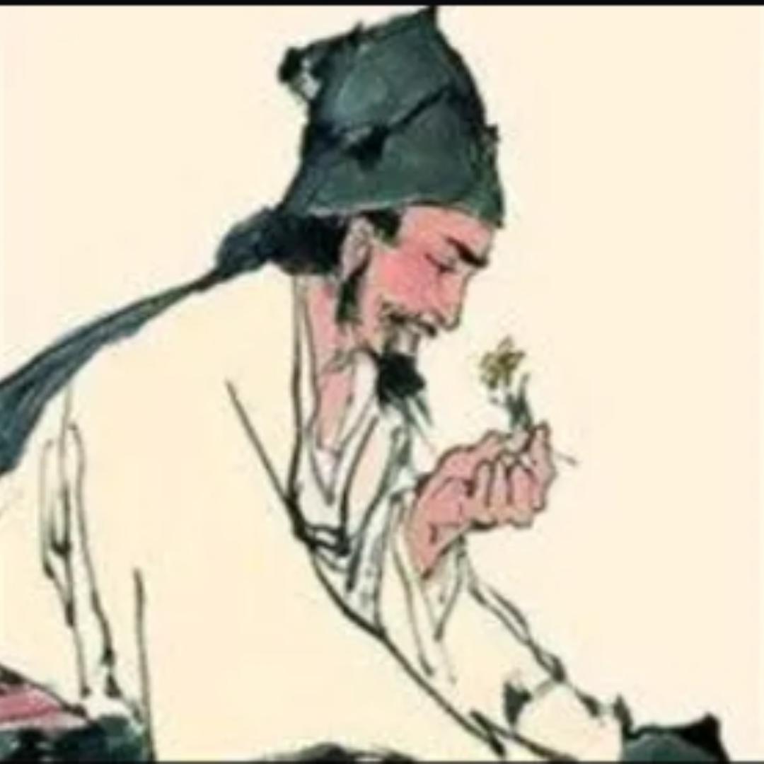璟姿淑