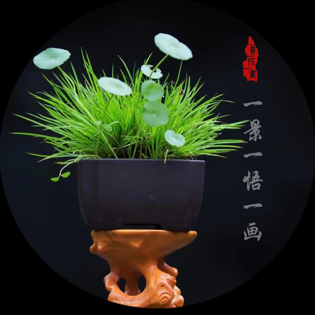 一景一悟一画工作室