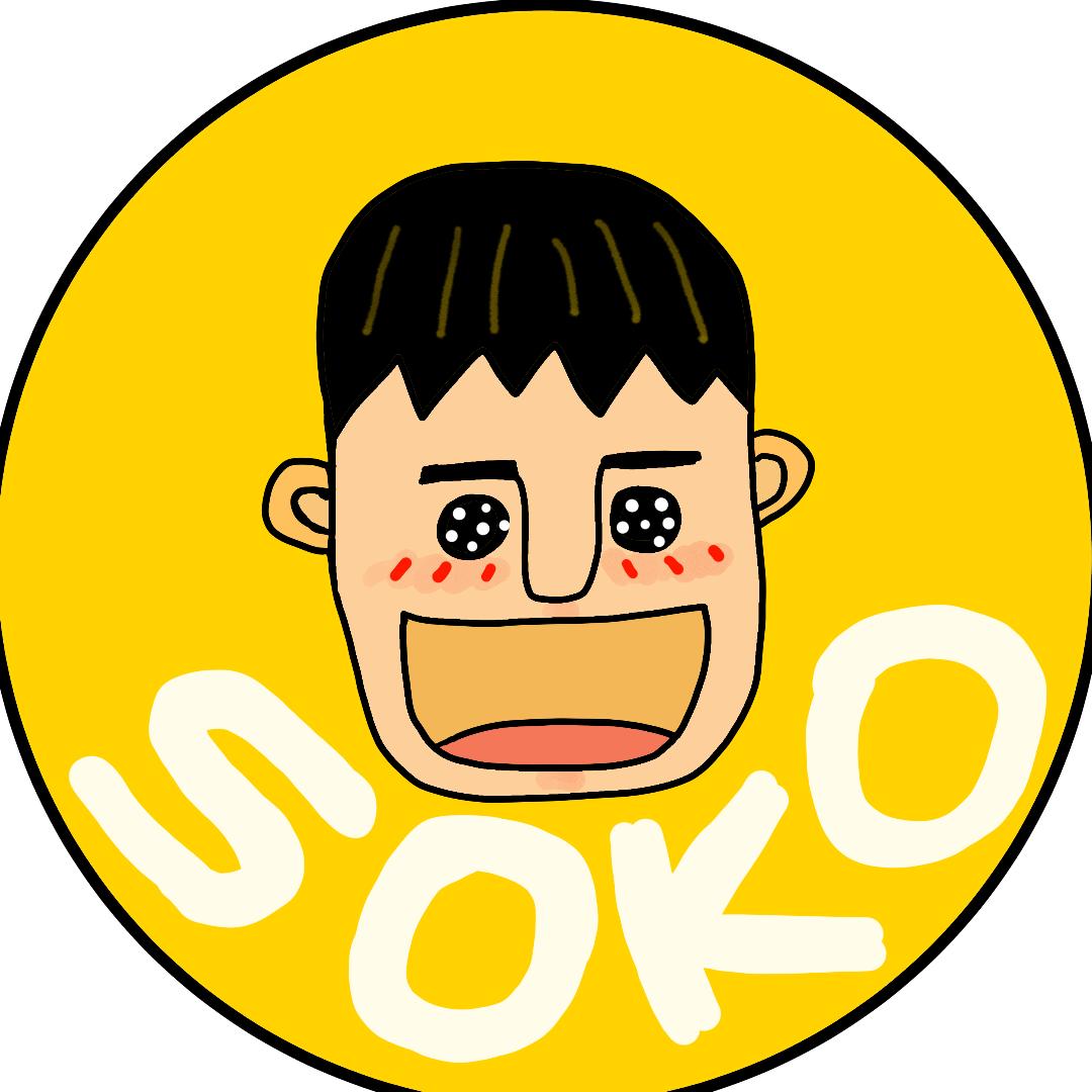 锡浩 돌호랑이 Soko