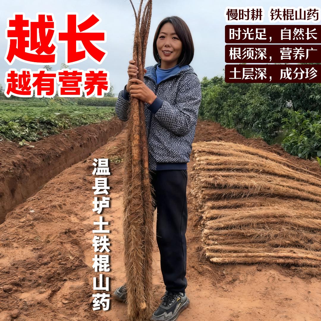 慢时耕铁棍山药一越长,越有营养