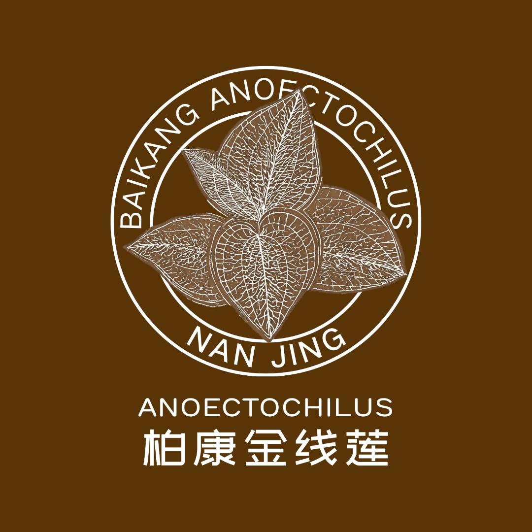 南靖柏康滋补养生