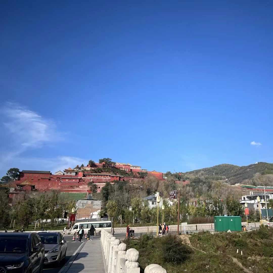 绽放青春