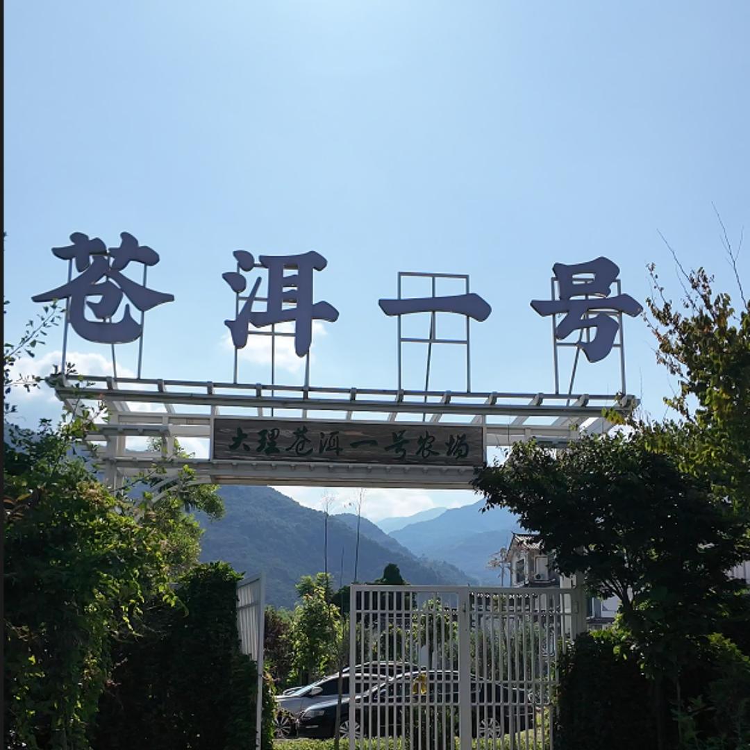 大理苍洱一号农场