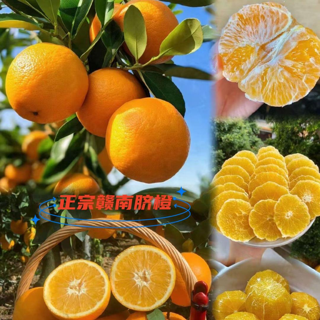 实在人生鲜果品