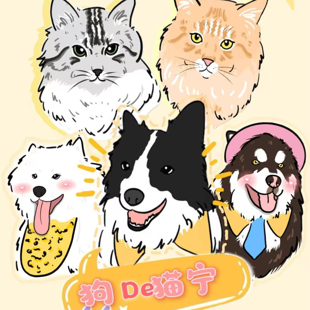 狗De猫宁宠物生活馆