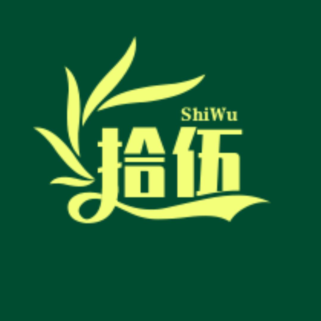 拾伍剪影