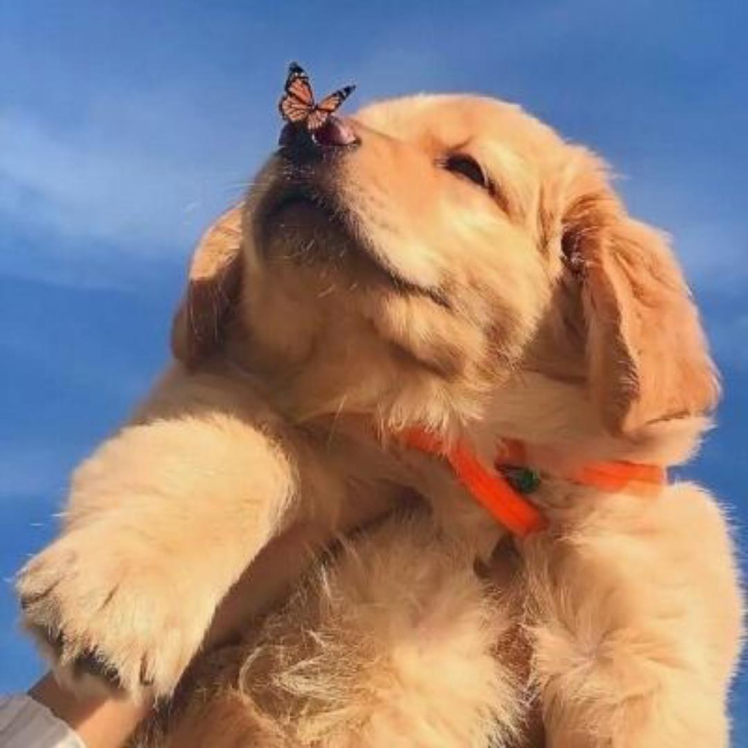 点亮心中的火火火