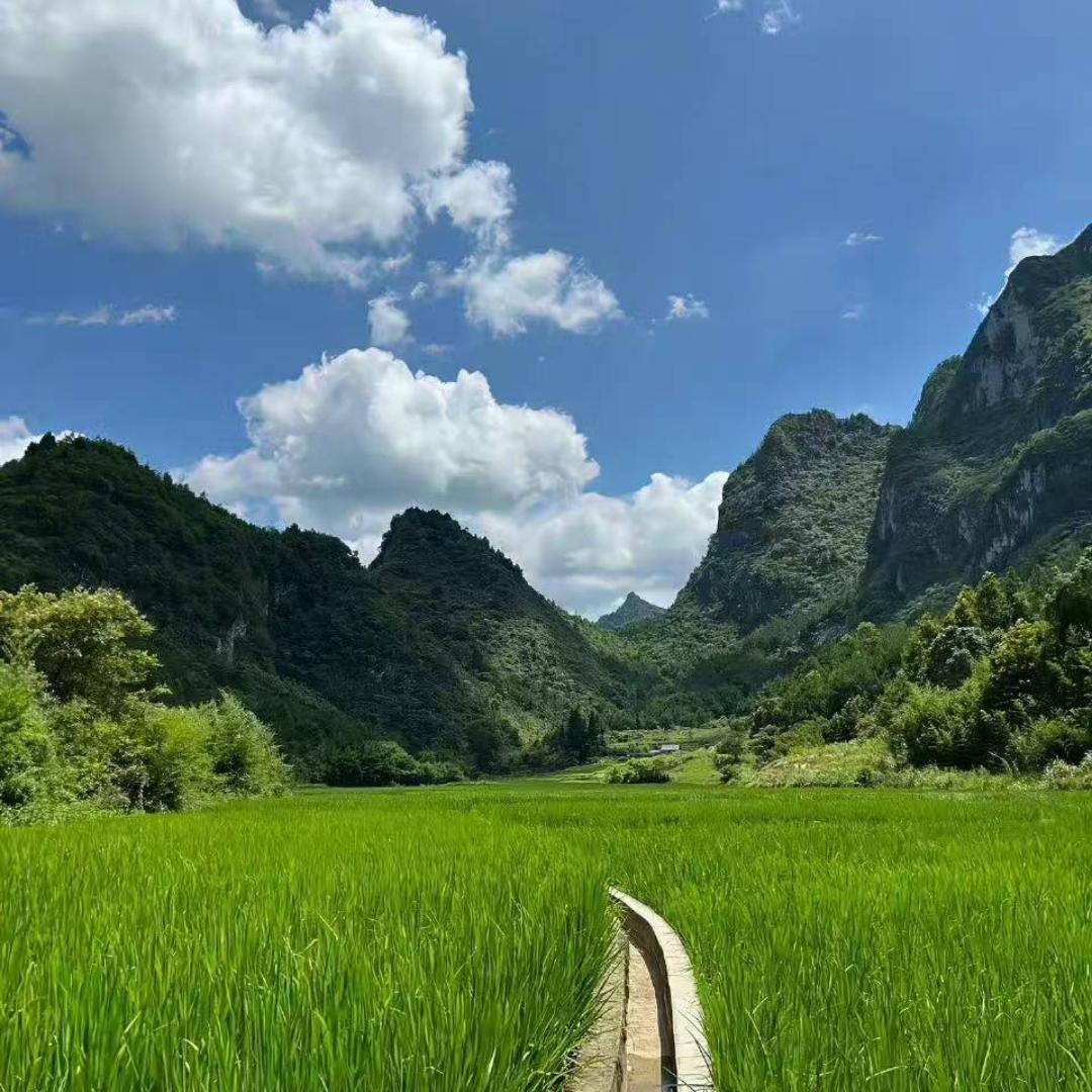 余味出山
