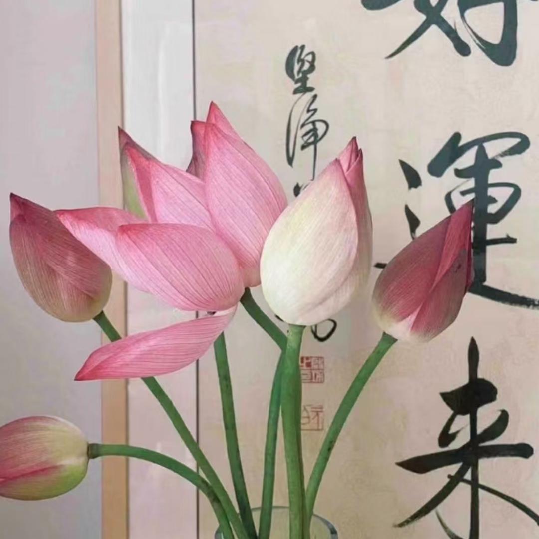 悦读