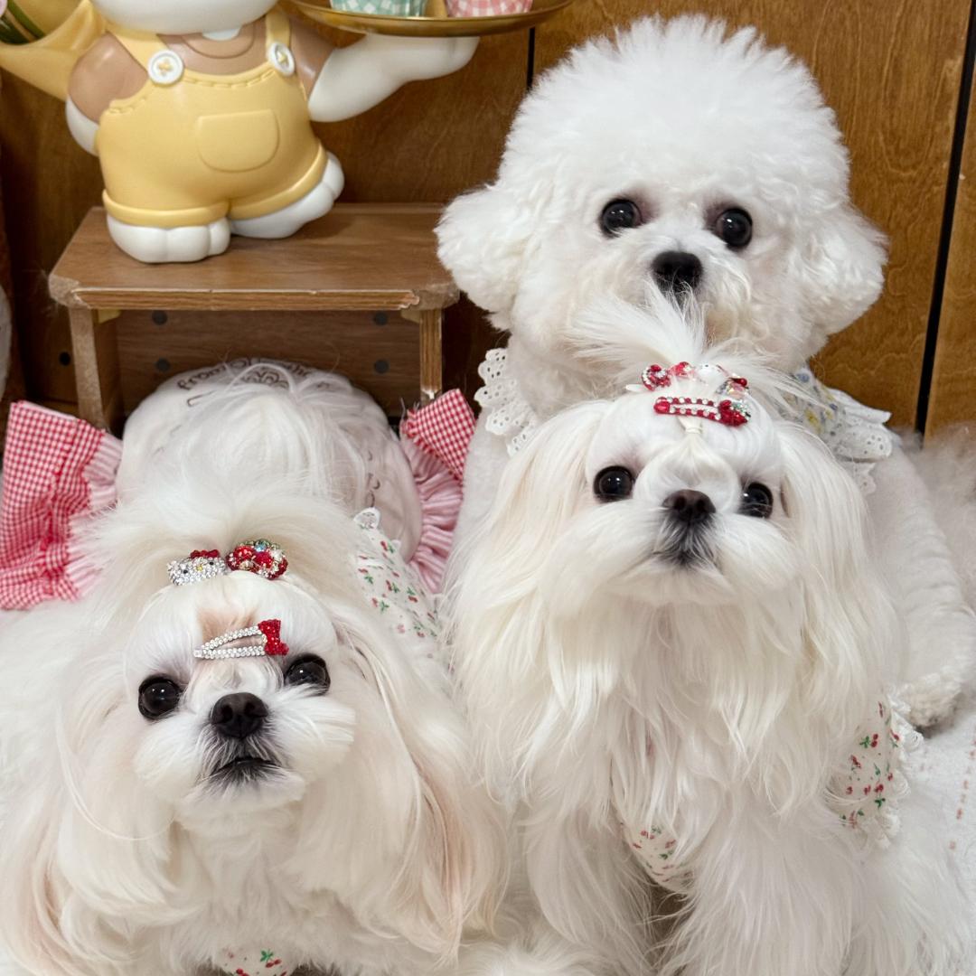 米芙汤的小时光