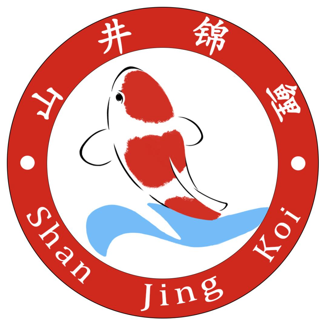山井锦鲤的头像