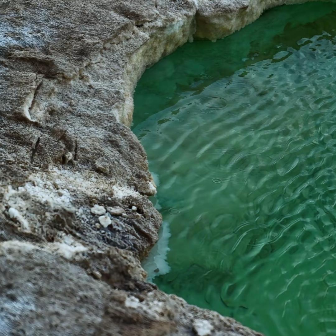 木沙艾力教育集