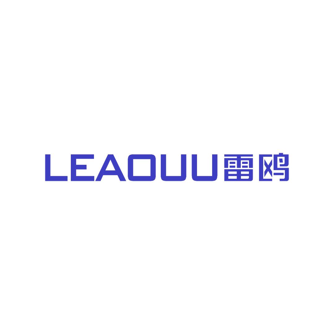 雷鸥LEAOUU车品店