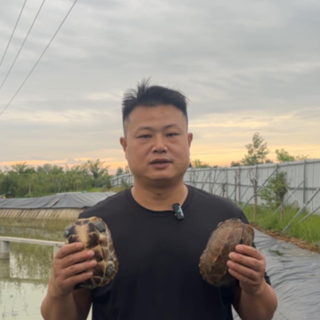 季哥生鲜
