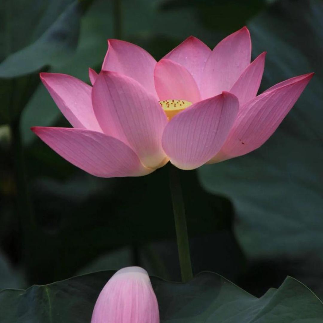 小编换号啦！详情看简介噢