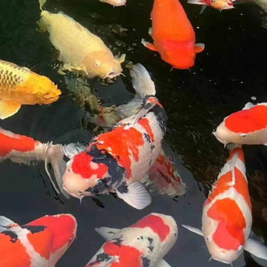 不停运转的过滤器