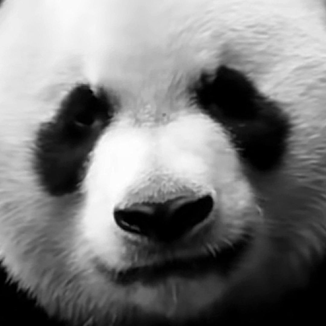 溪一@