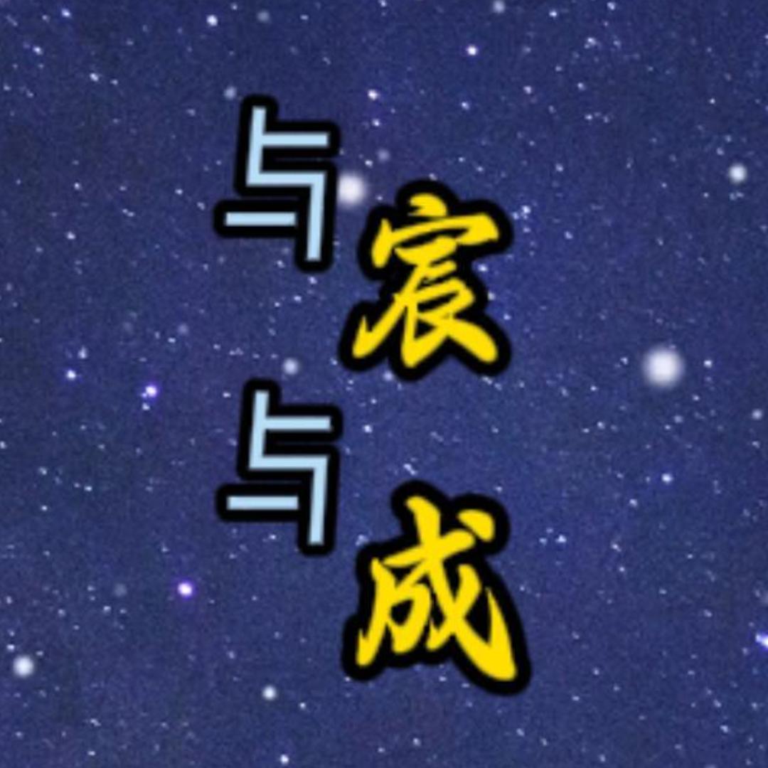 与宸与成