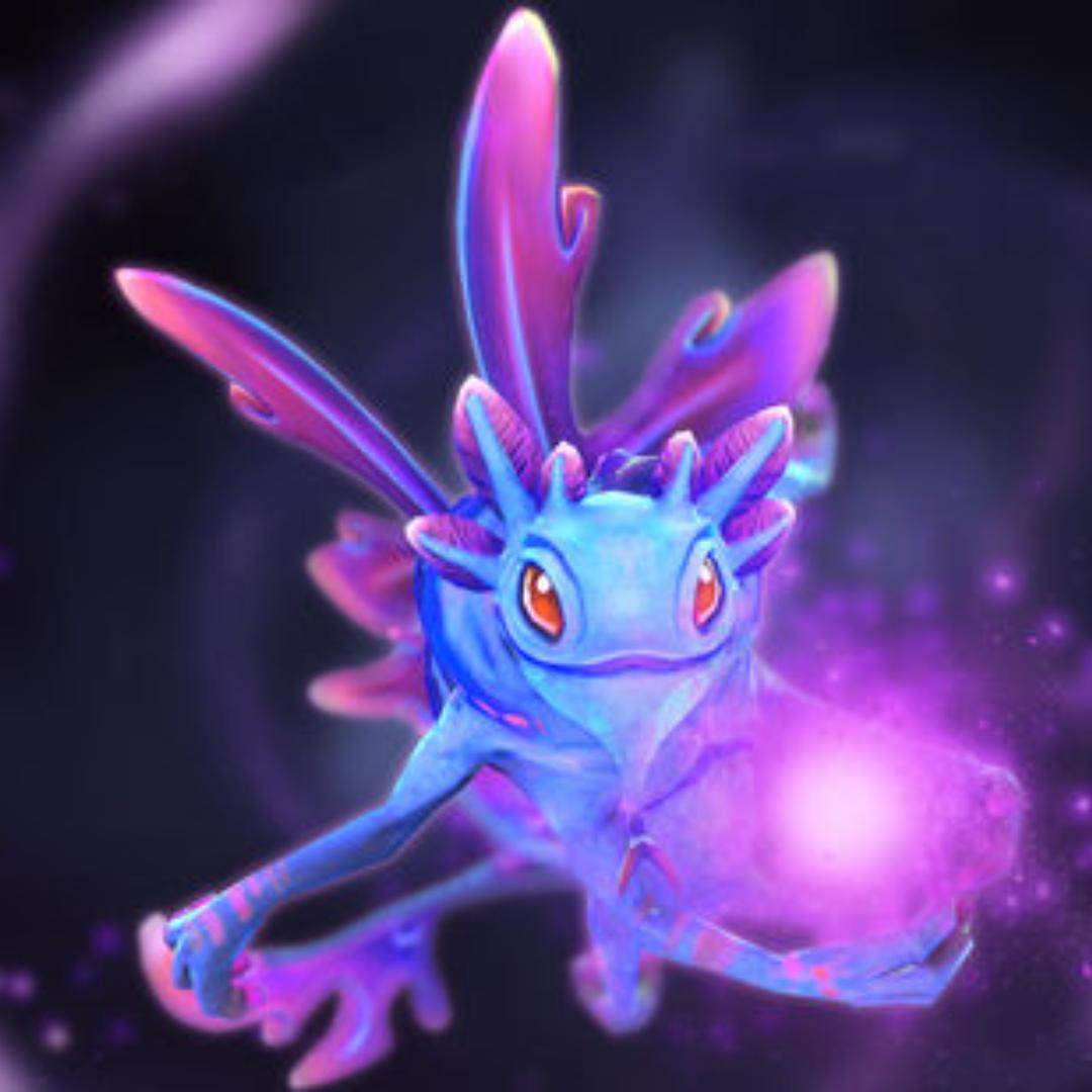 魔兽小毛