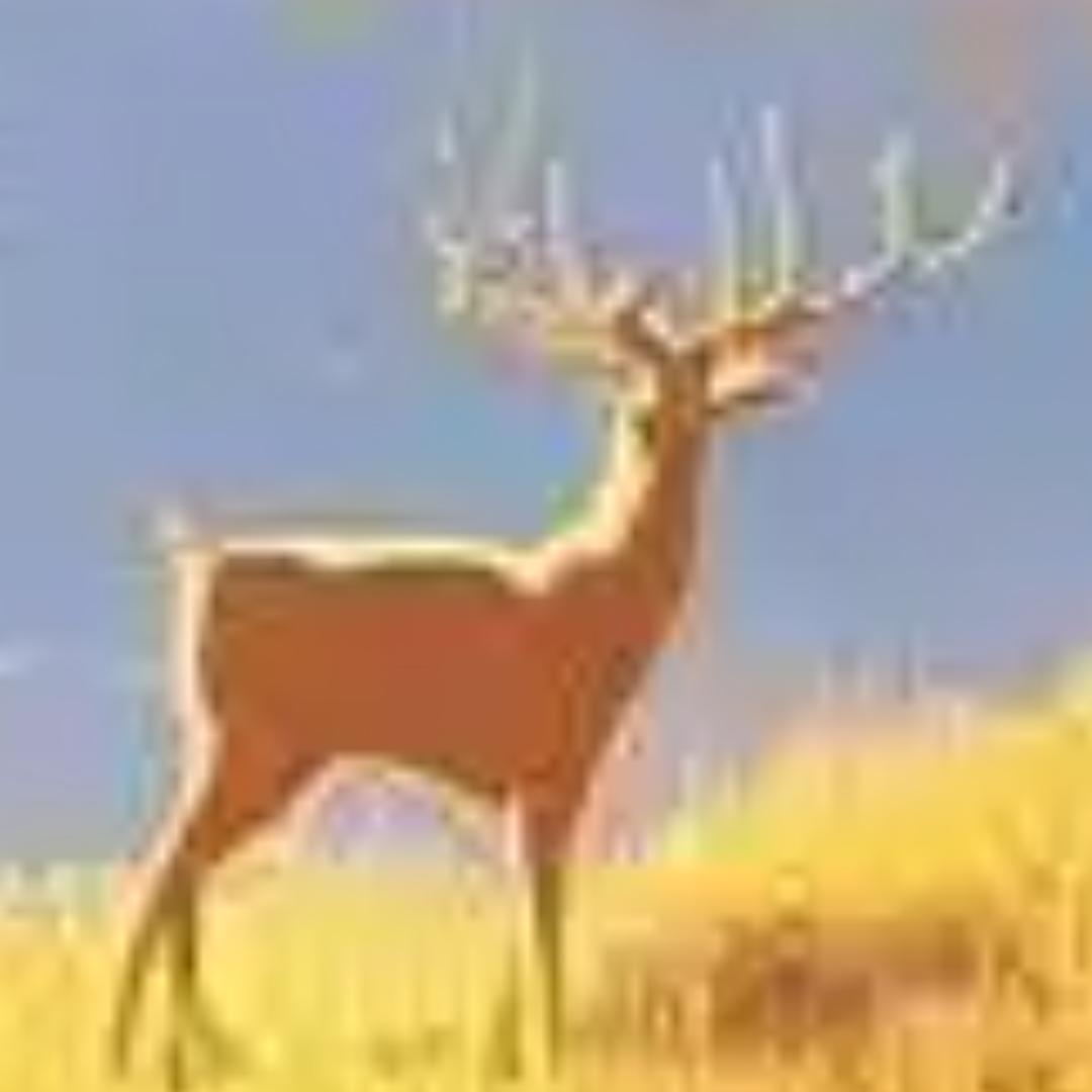 的附属国豆腐干