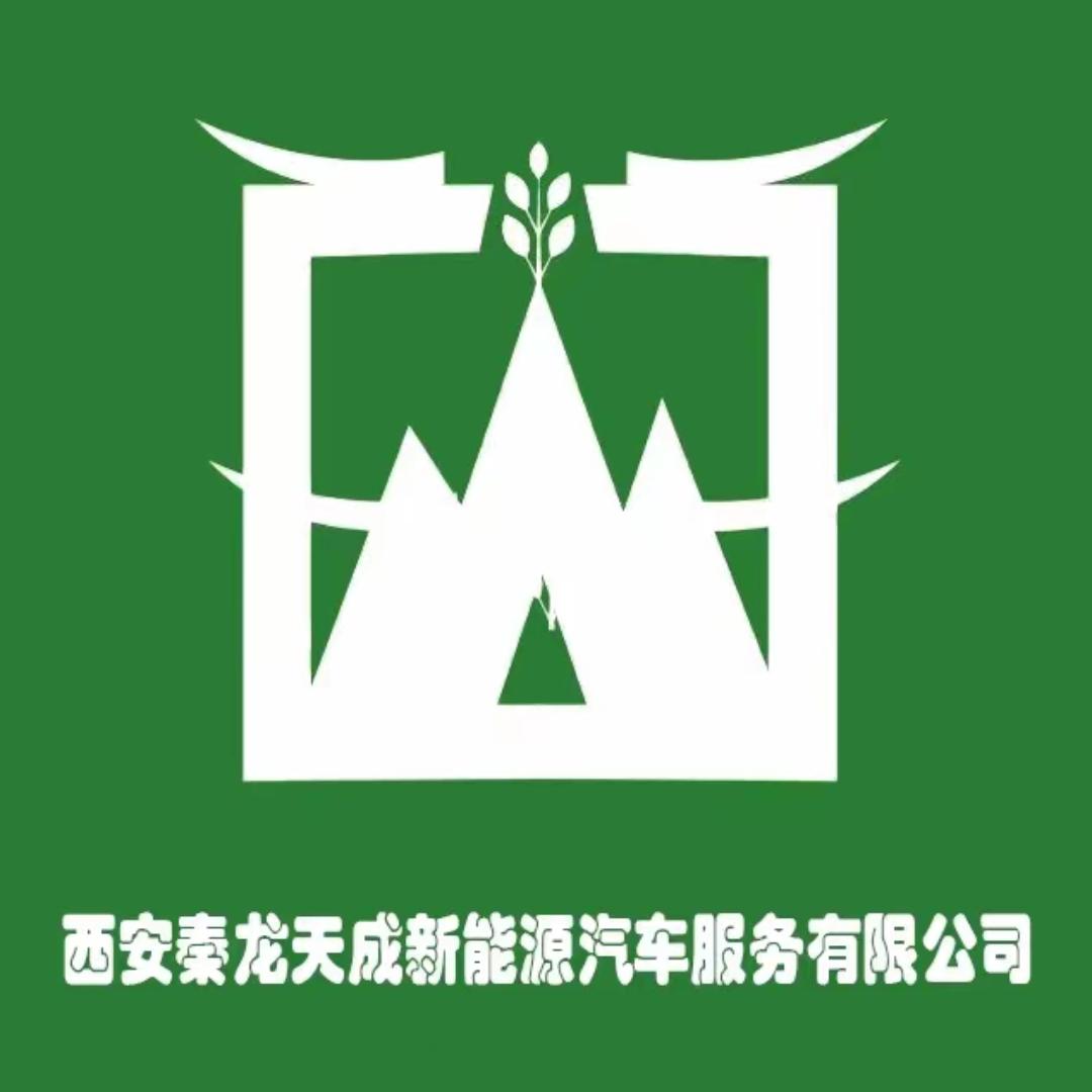 西安秦龙新能源