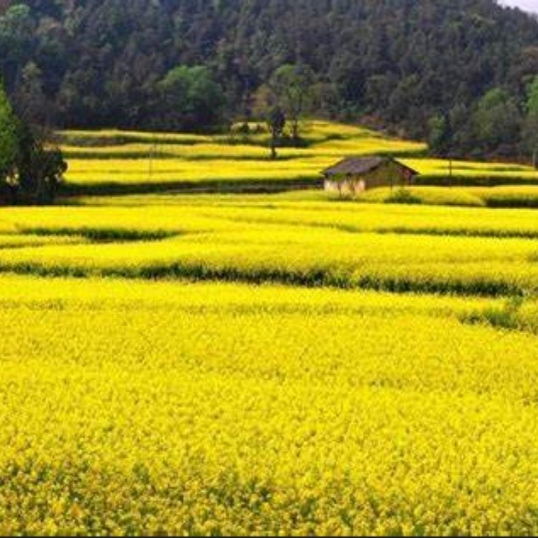 乡村守护人#蹇安珊