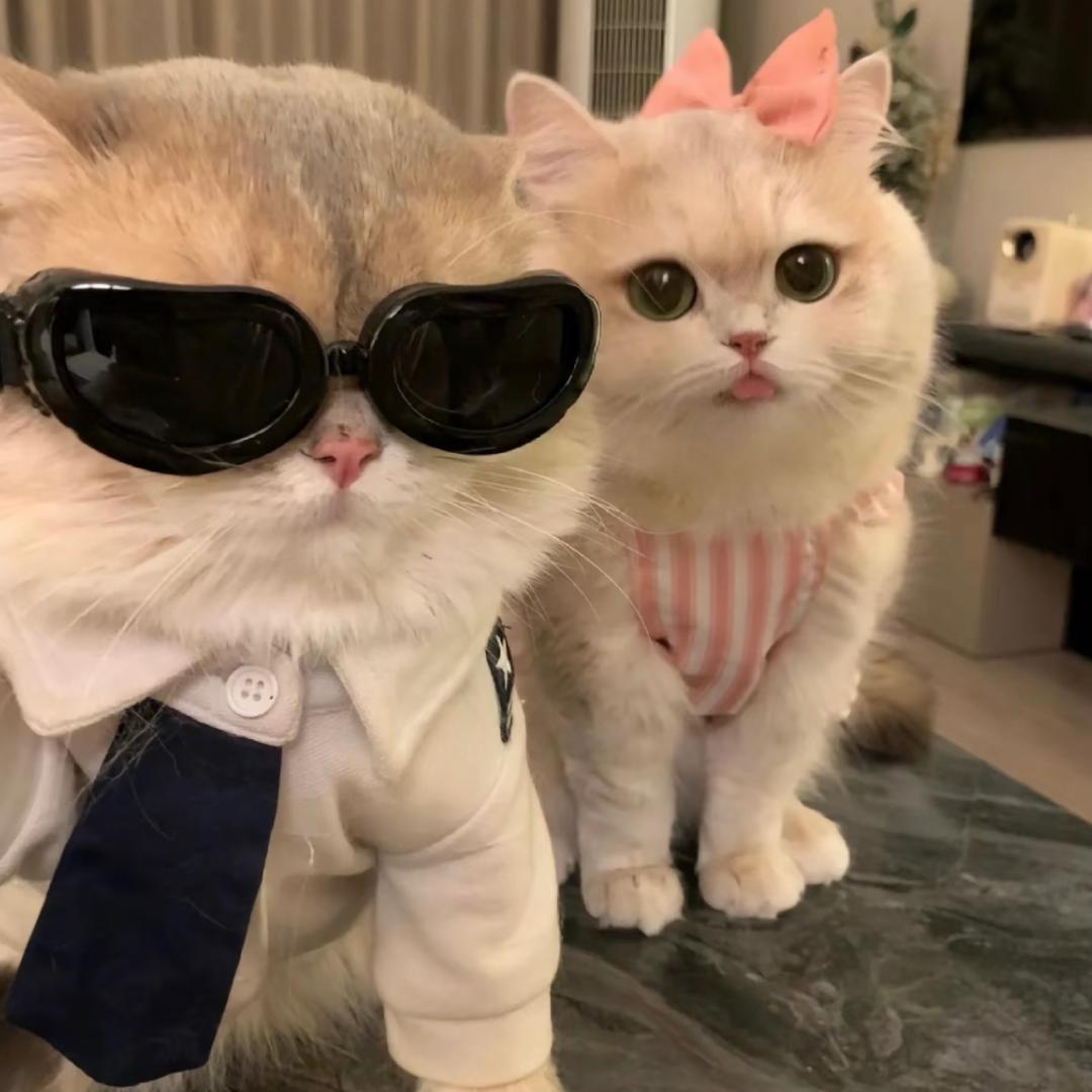 青年心态不容错过