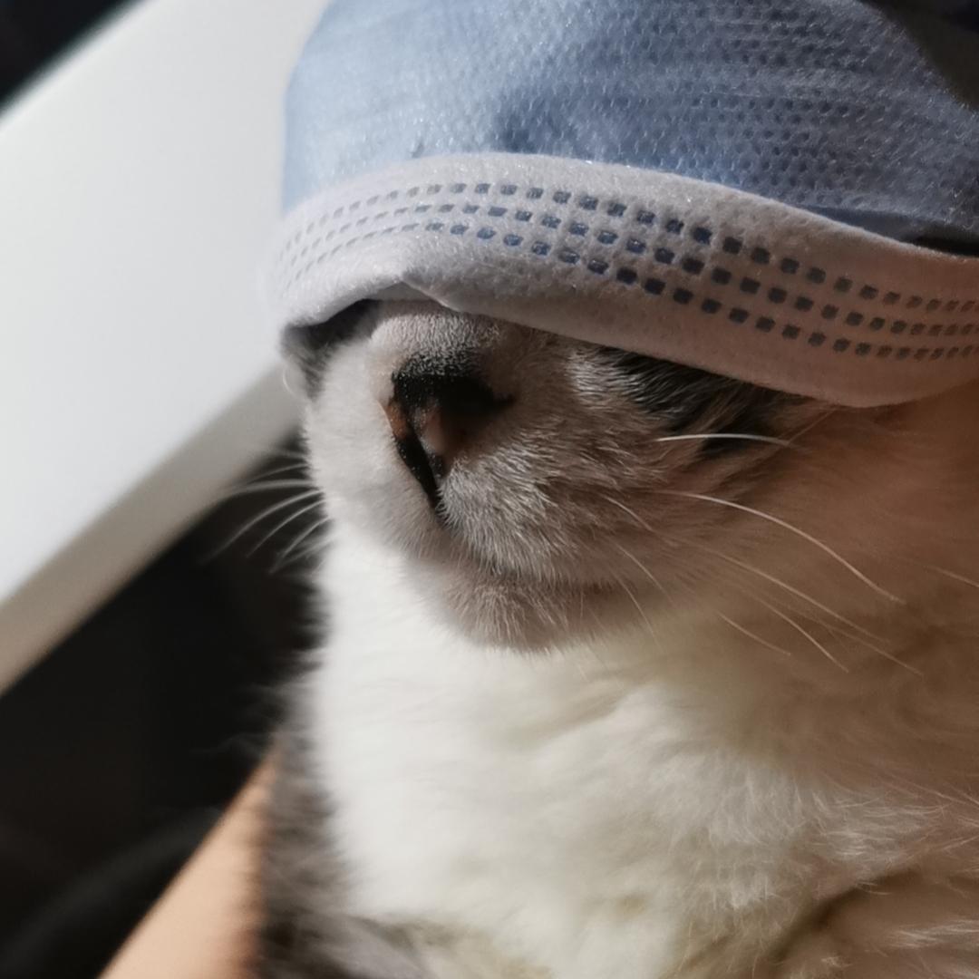 吃吃吃吃吃吃吃啊