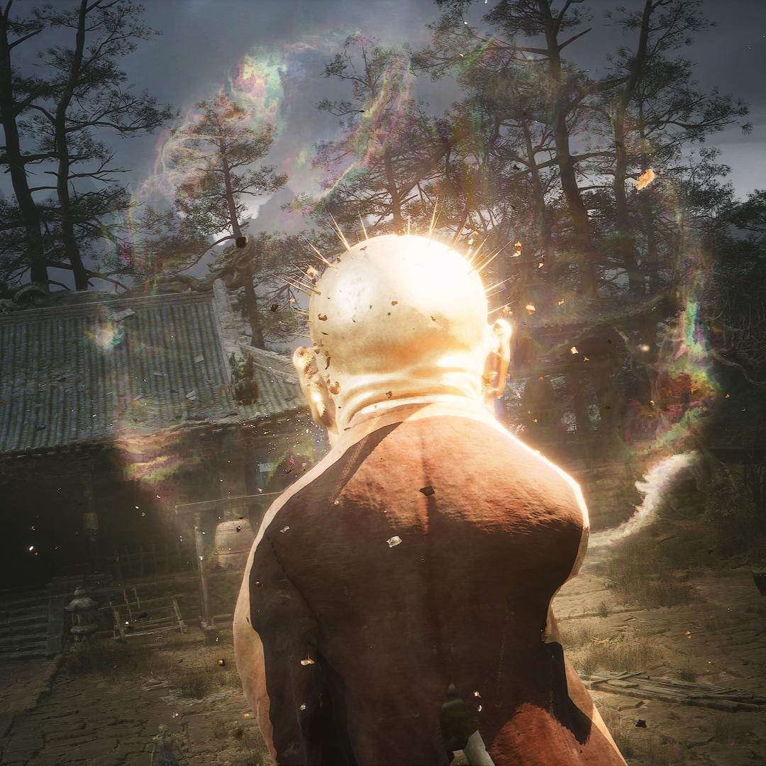 寅虎老师的徒弟