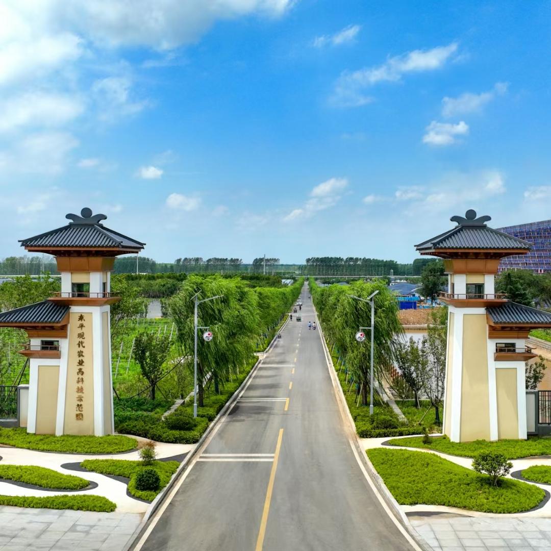 东平县现代农业发展有限公司