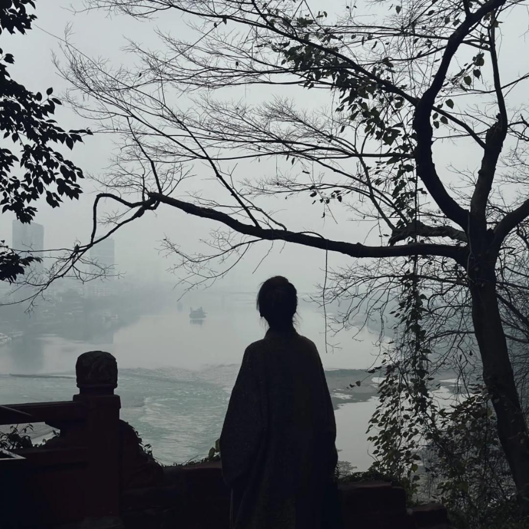 喂变色龙吃彩虹糖