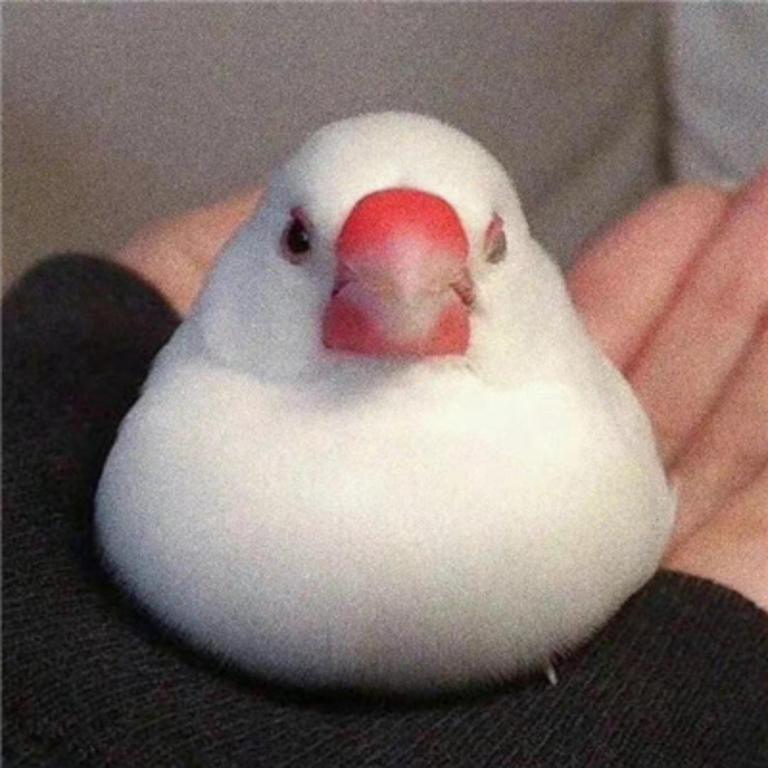 我对自己没要求.