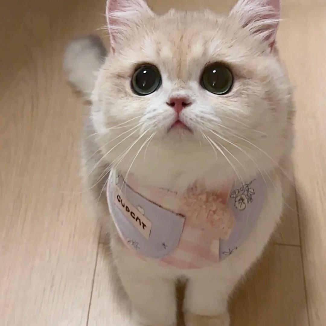 初初小王子百货