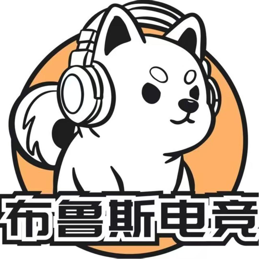 布鲁斯电竞