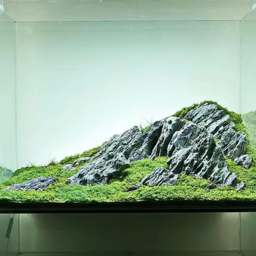 木火水族造景