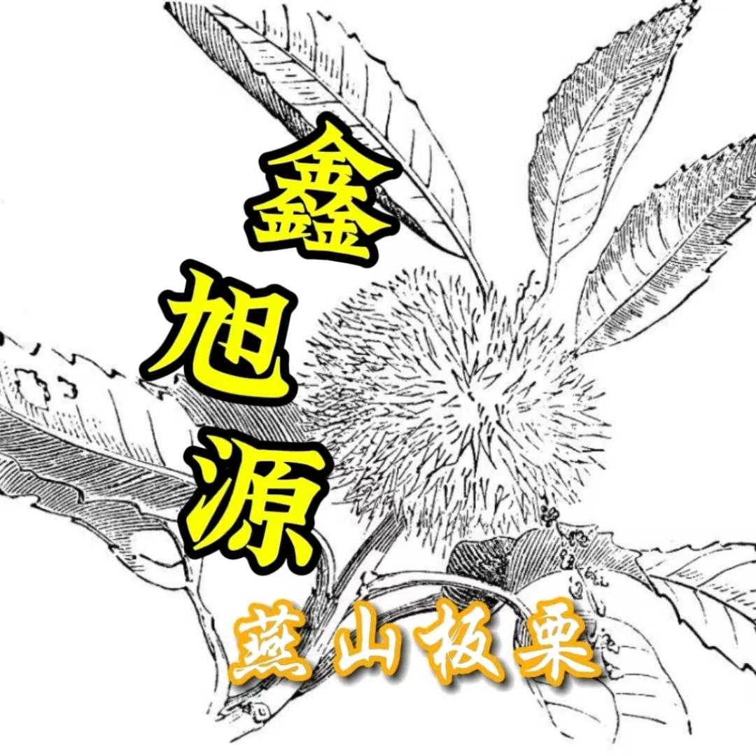 鑫旭源一燕山板栗
