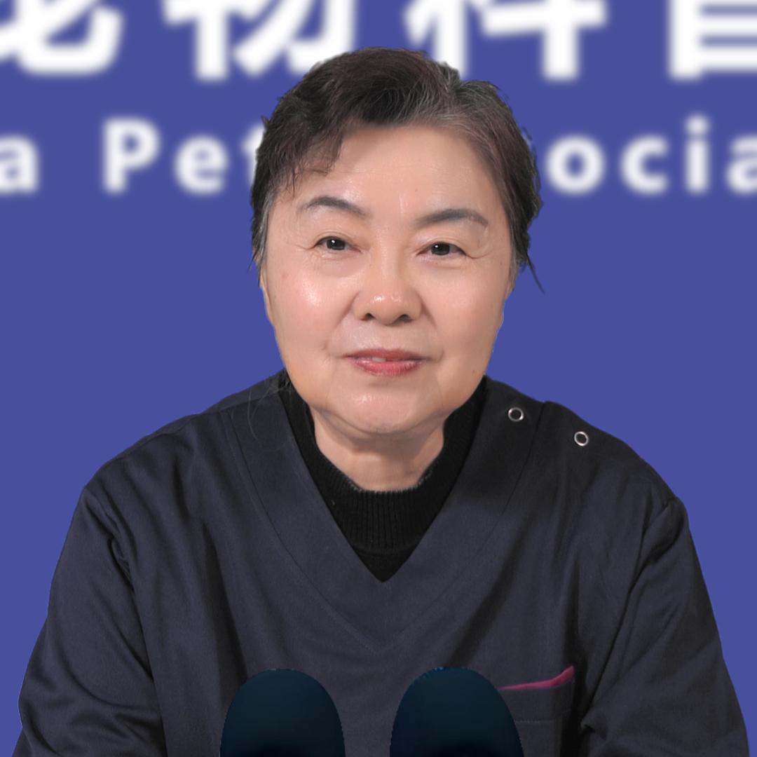 孙梅-教你养狗