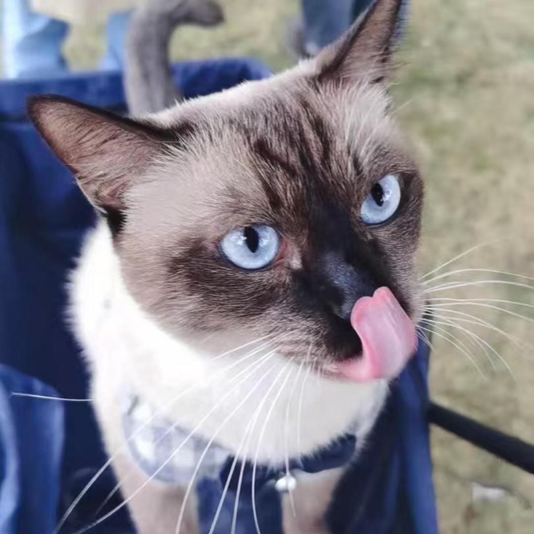 慕乐宠物零食店