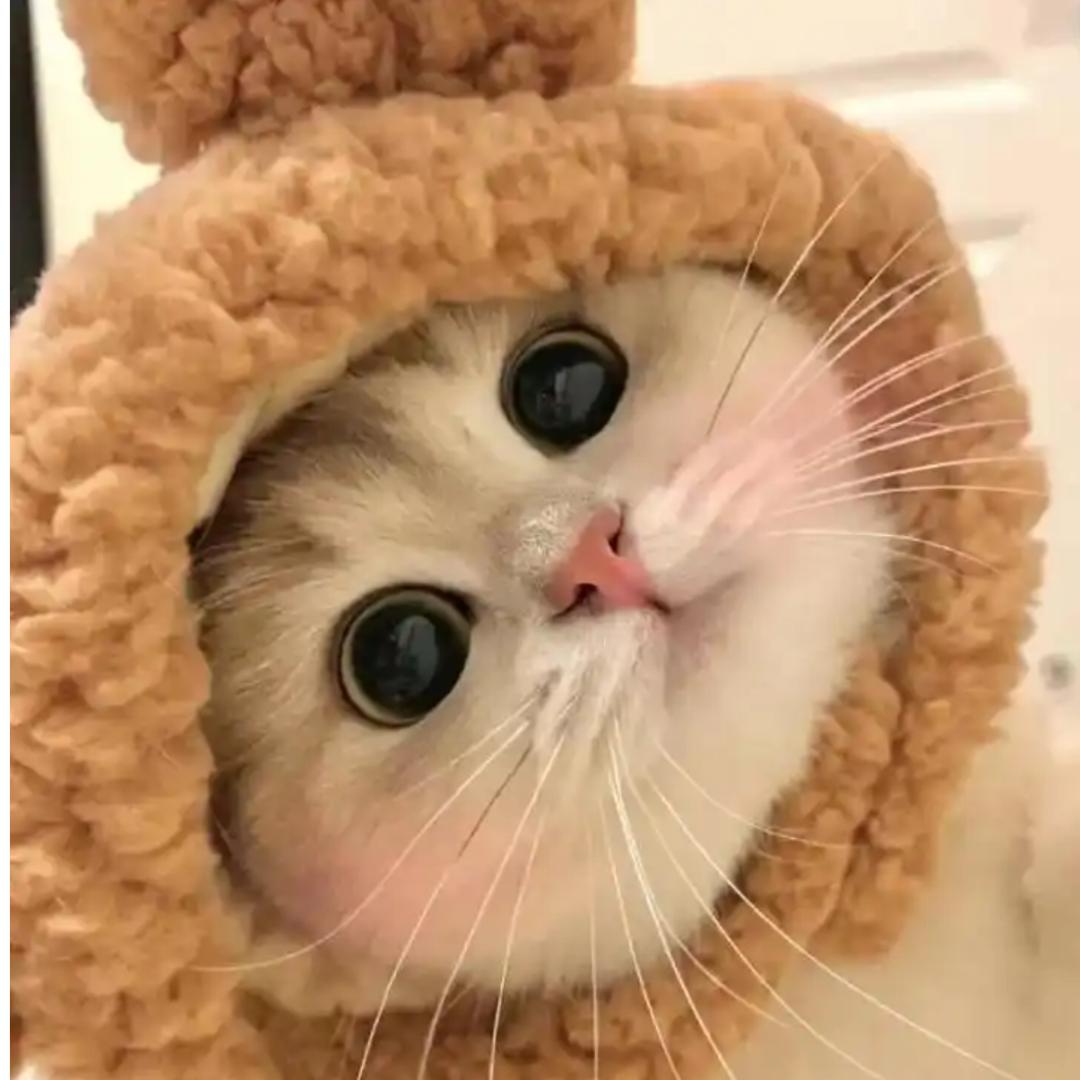 momoabc
