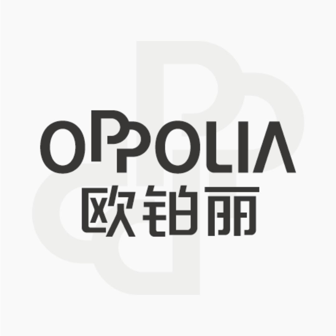 欧铂丽全案美家定制