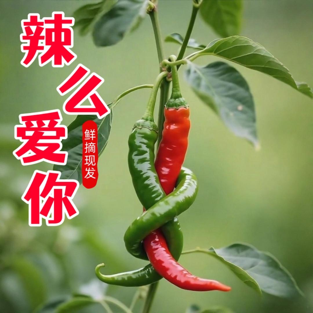 丰年瑞农产品严选