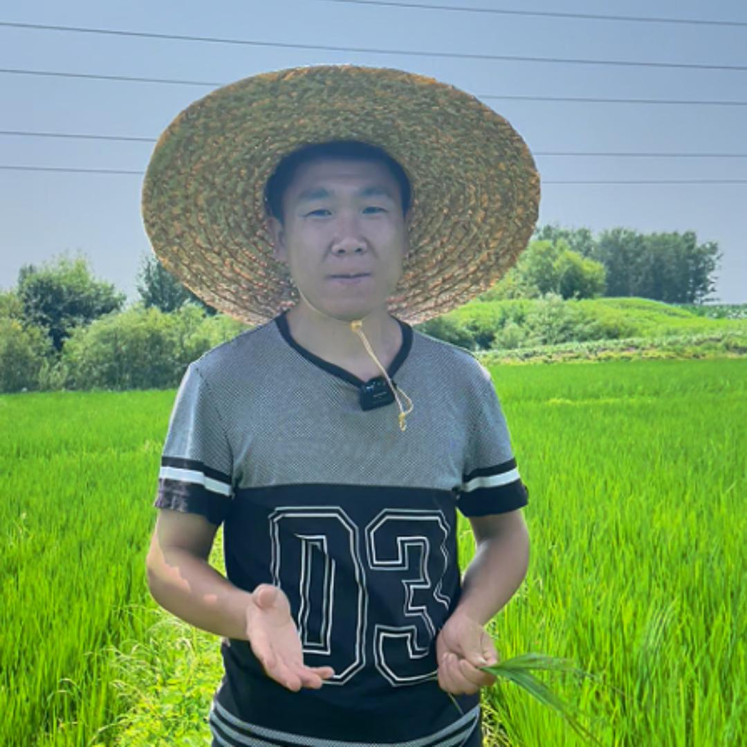 小高自家五常米