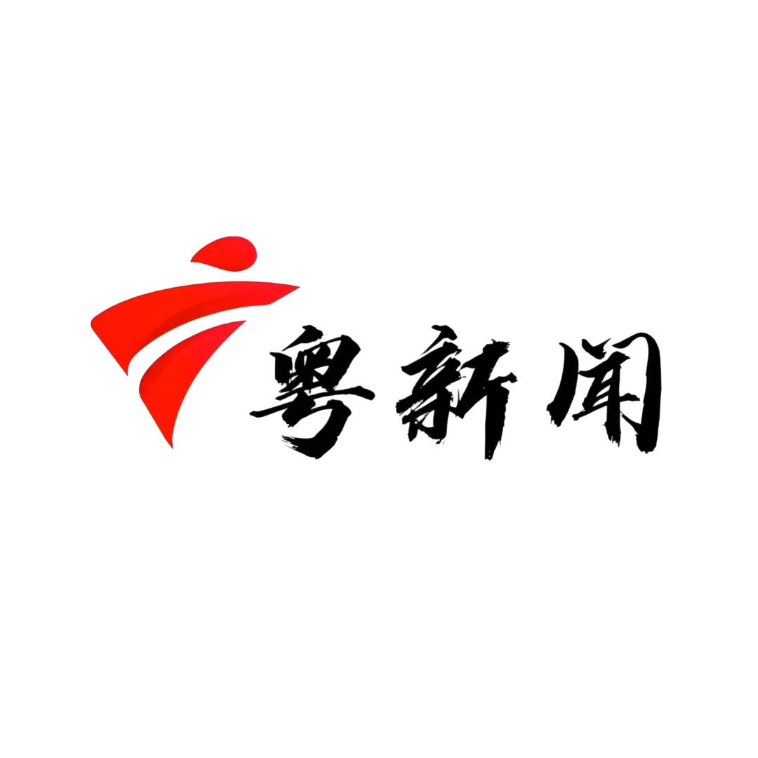 小酷炫彩网络