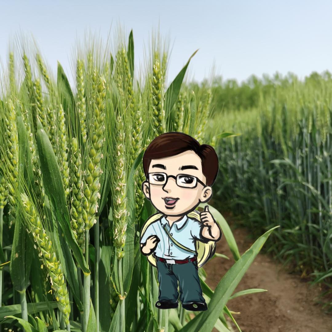 江苏瑞华农业科技有限公司