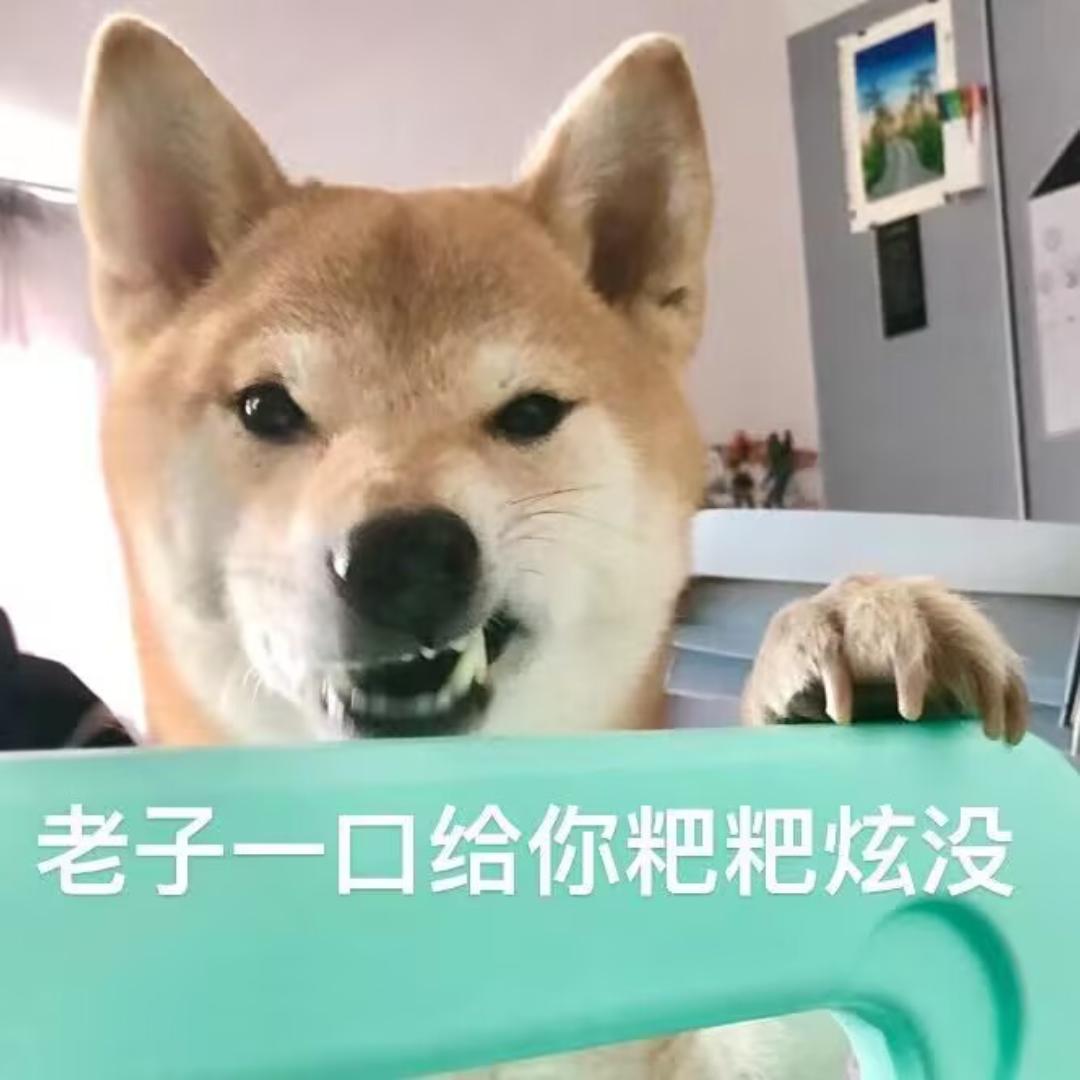 小吴小杨不是很菜