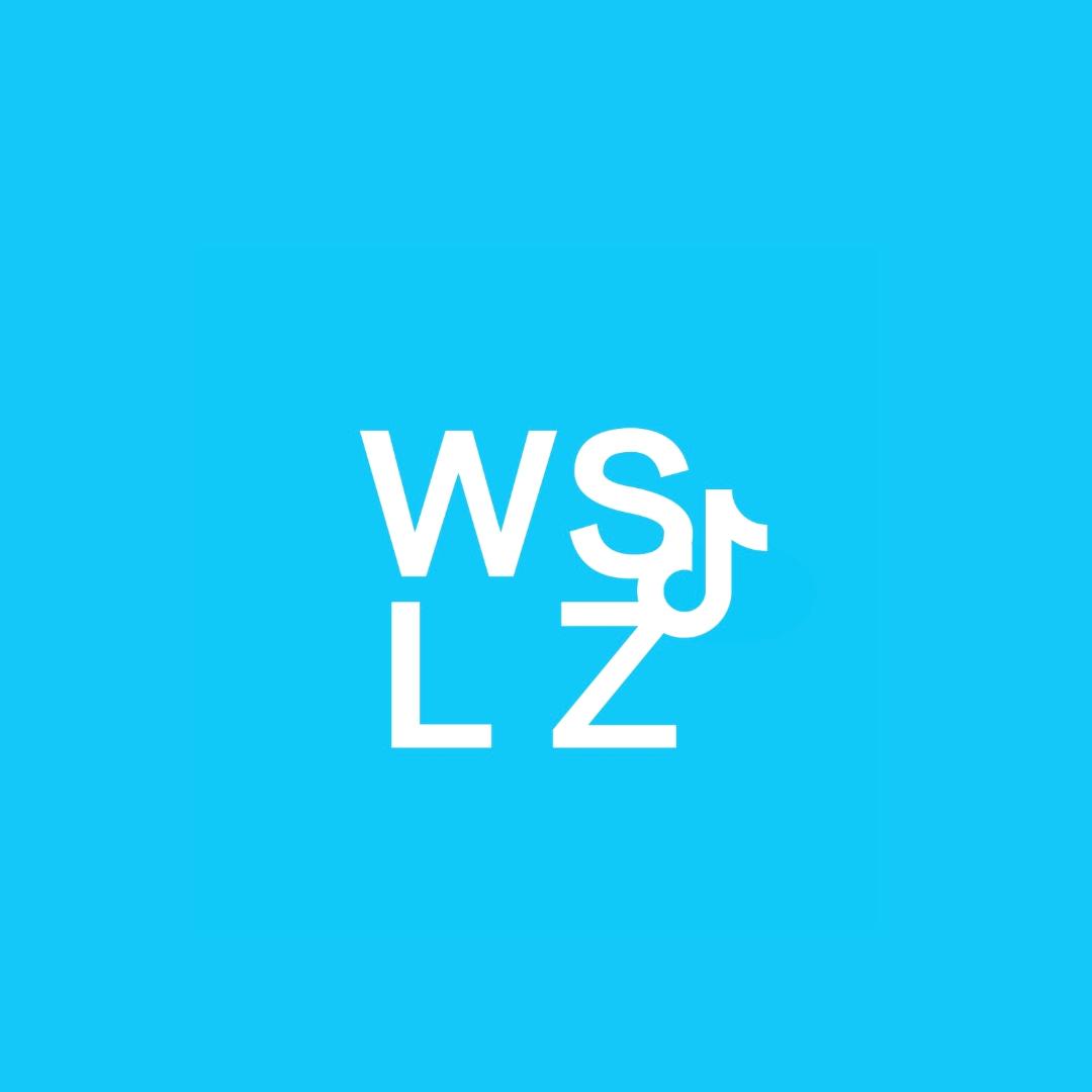 WSLZ-2019-永无止境！
